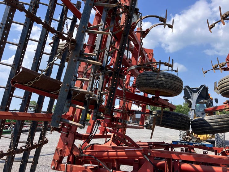 sunflower-5452-image-7