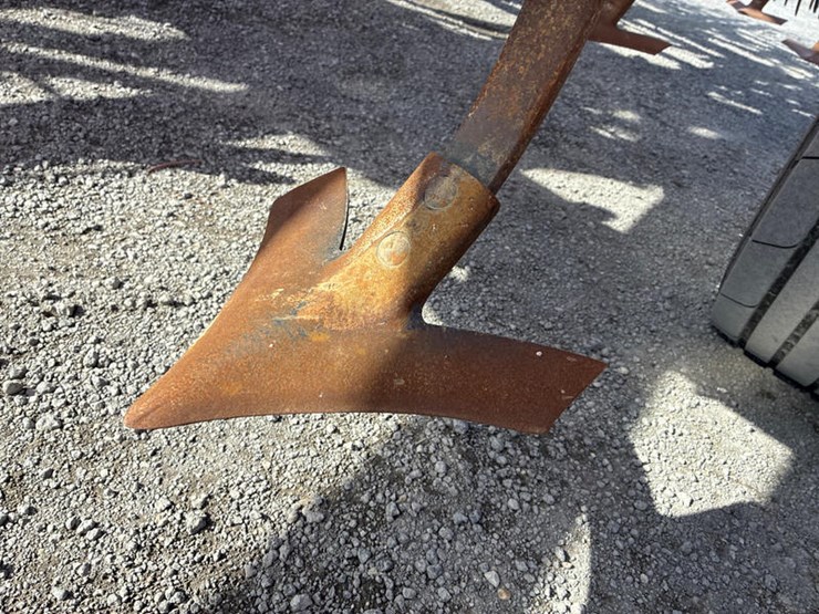 sunflower-6433-43-image-21