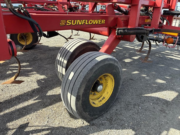 sunflower-6433-43-image-23