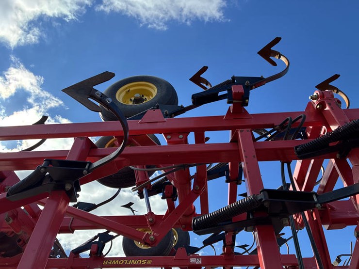 sunflower-6433-43-image-31