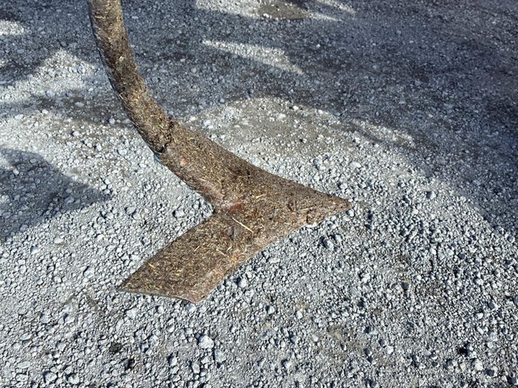 sunflower-6433-43-image-42