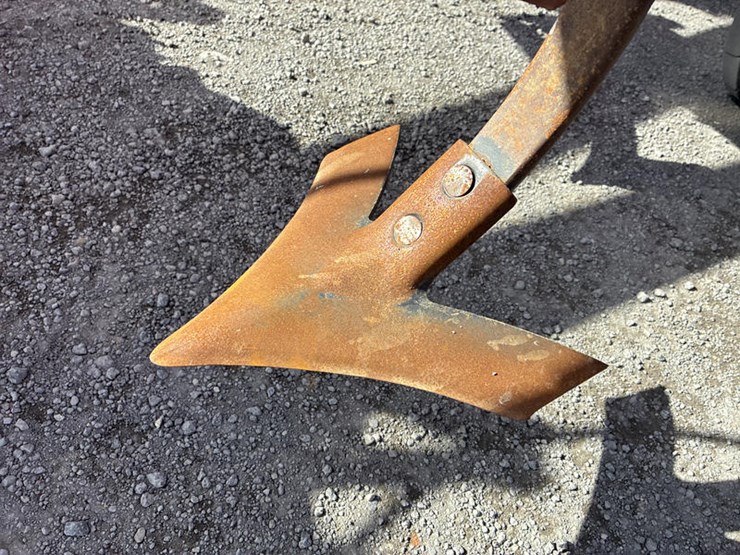 sunflower-6433-43-image-20