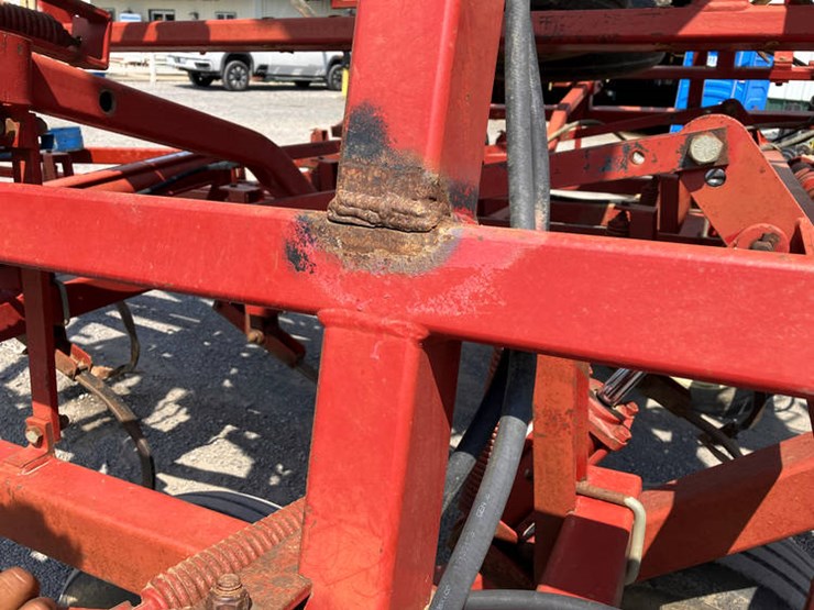 sunflower-5452-image-23