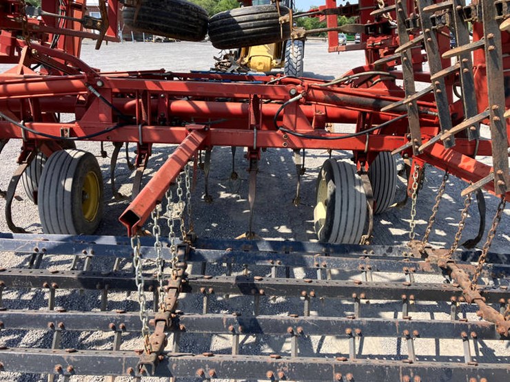 sunflower-5452-image-5