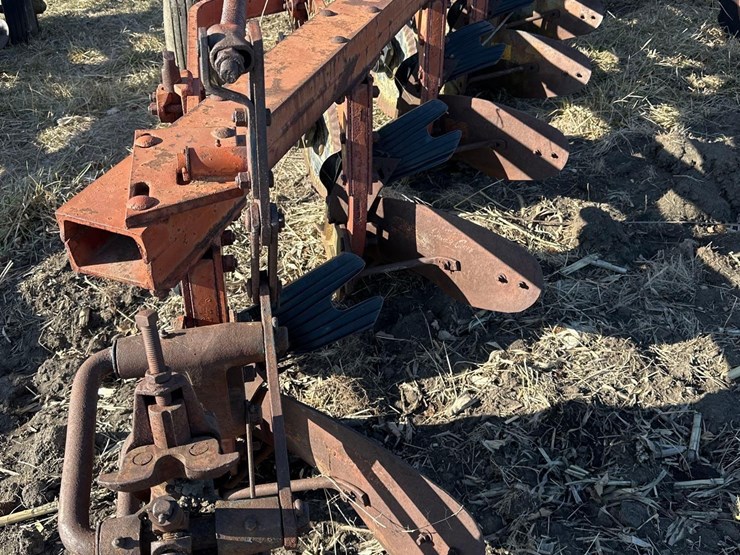 international-5-image-5