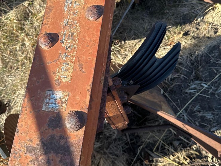 international-5-image-6