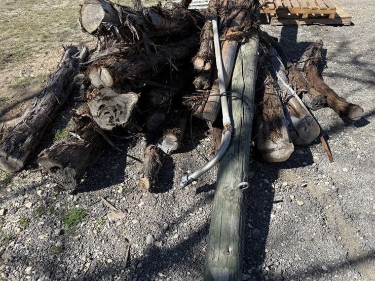 #127-•-bundle-of-tree-limbs-&-electrical-pole-image-2