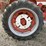 farmall-560-diesel-turbo-(sn#-5?490)-(hess)-image-9