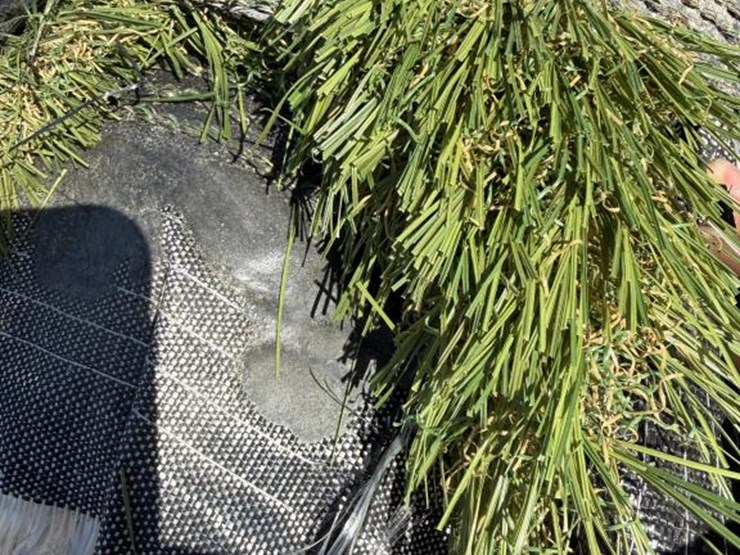 #263-•-18'-roll-of-turf---tx-dense-image-2