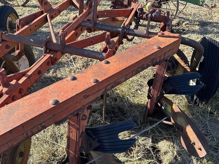 international-5-image-7