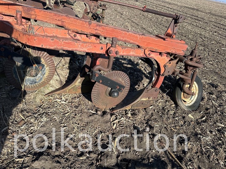 international-5-image-4