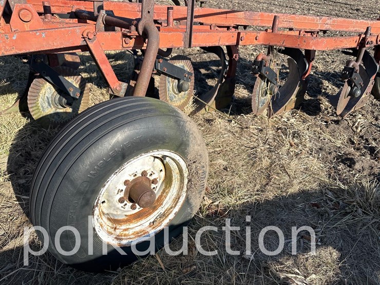 international-5-image-3