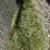 #261-•-15'-roll-of-turf---i-50-image-2
