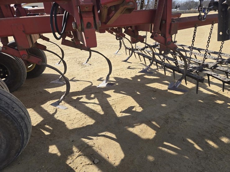 sunflower-6331-image-7