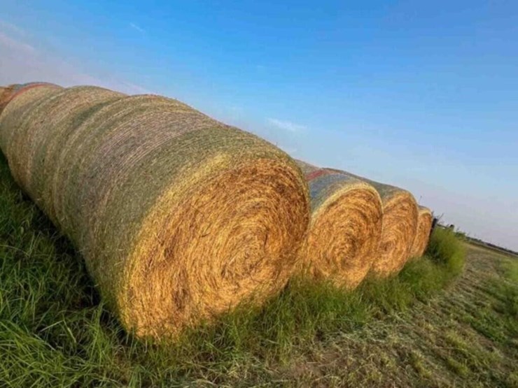 21--5x60"-ozark-bermuda-no-stickers-image-2