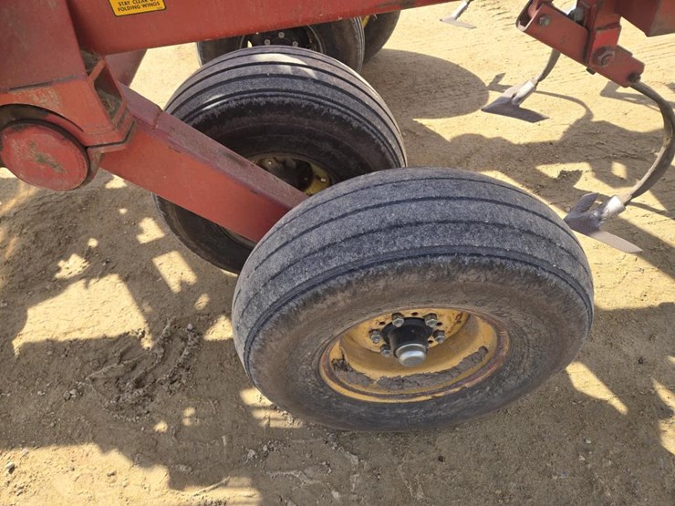 sunflower-6331-image-6