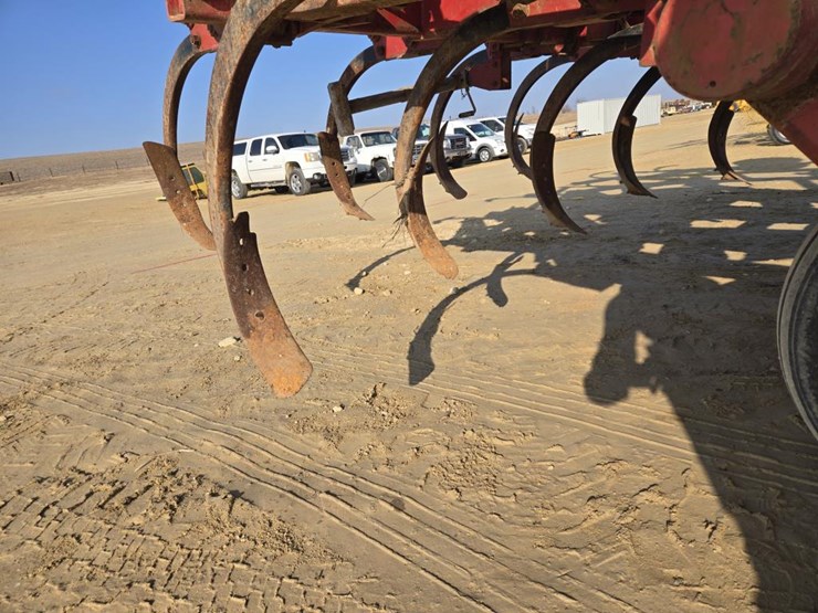 sunflower-4232-image-7