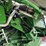 2017-john-deere-s680-image-53