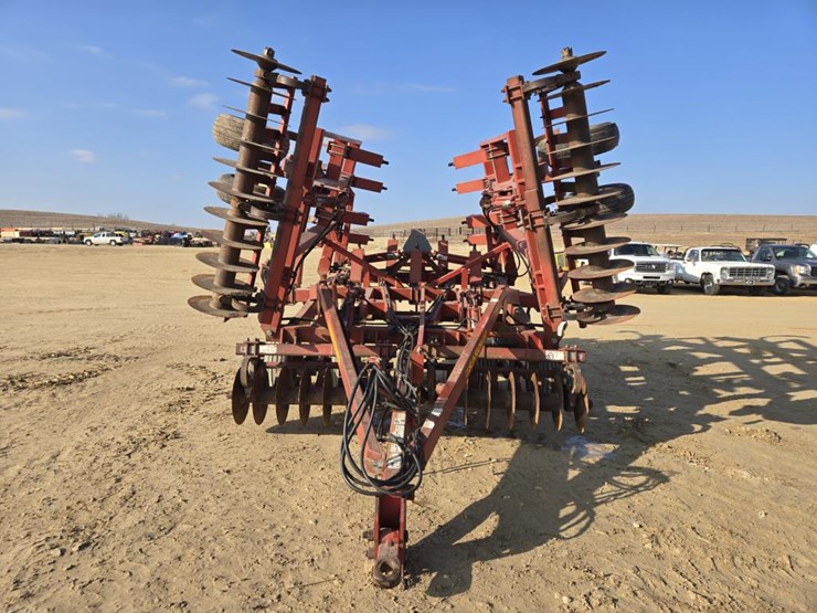 sunflower-4232-image-2