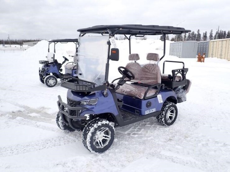 unused-2025-sdlanch-sdlgc80-golf-cart-rsl802510090-image-1