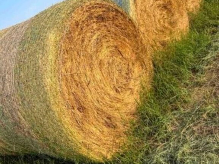 21--5x60"-ozark-bermuda-no-stickers-image-3