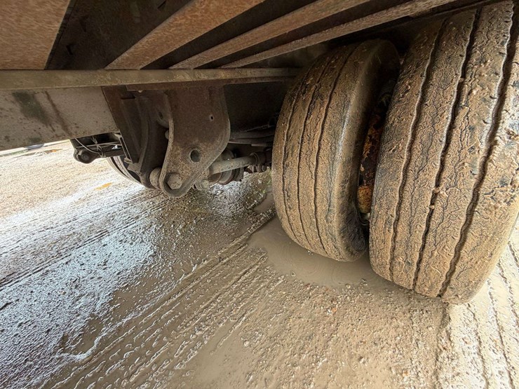 2004-great-dane-53-image-17