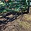 john-deere-960-image-2