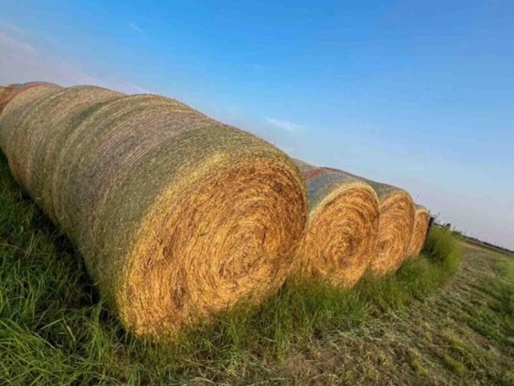 21--5x60"-ozark-bermuda-no-stickers-image-1