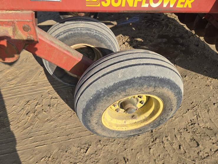 sunflower-4232-image-6