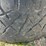 4--ridge-grappler-nitro-tires,-37x12.50r22lt,-image-5