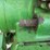 1991-john-deere-4255-image-25