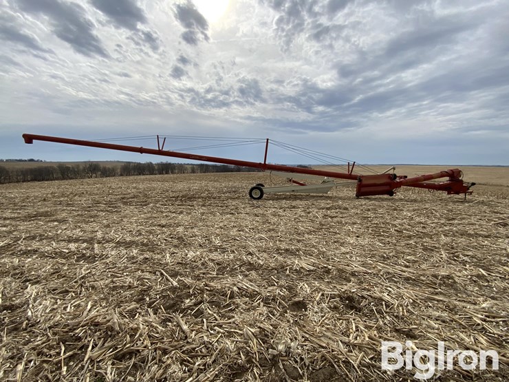 buhler-farm-king-y1385-image-4
