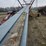 tag-#177,-90'-hutchinson-squesse-belt-conveyor-w/hyd-drive-image-7