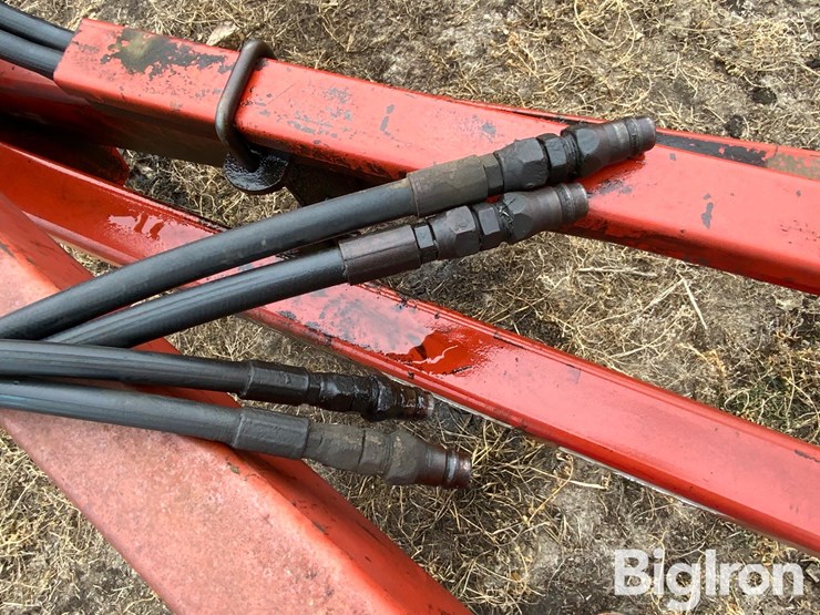 sunflower-5652-image-18