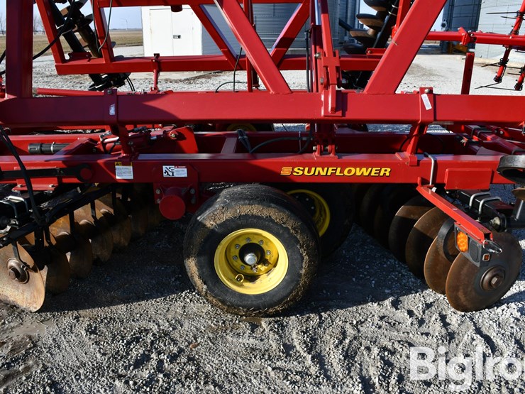 sunflower-1434-33-image-19