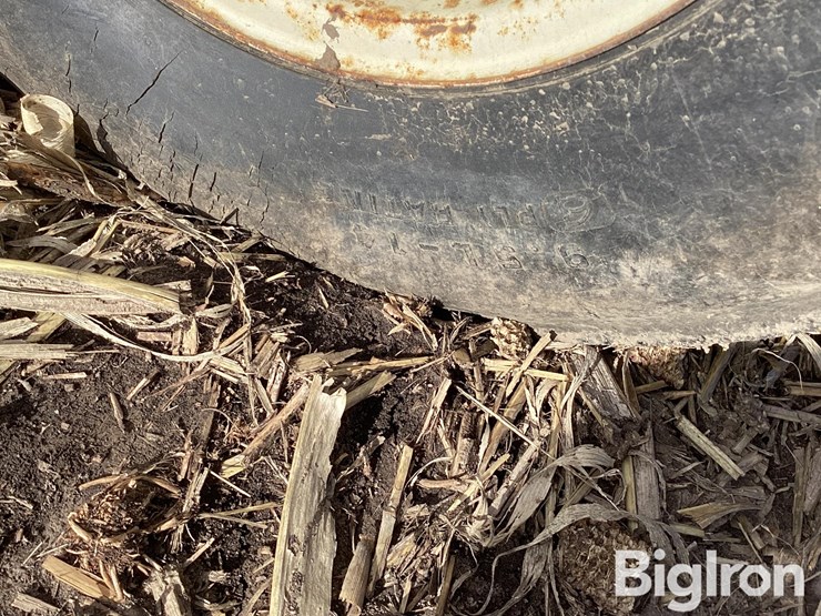 international-470-image-13