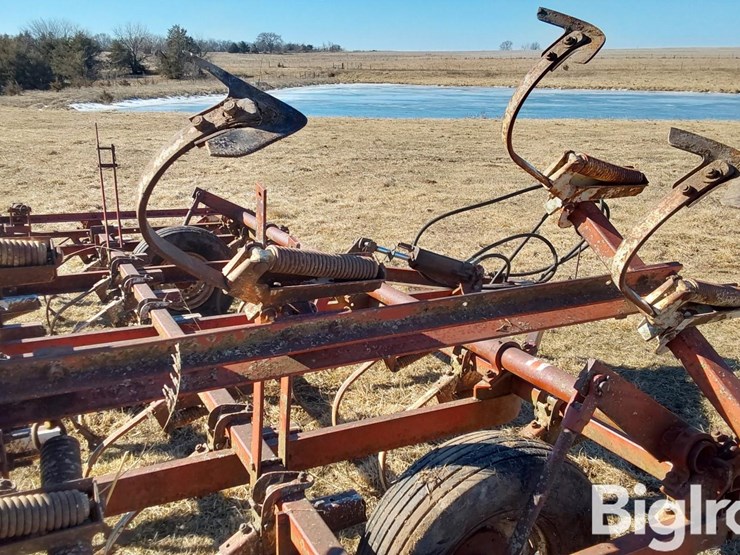 international-45-image-16