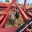 case-ih-5800-image-13