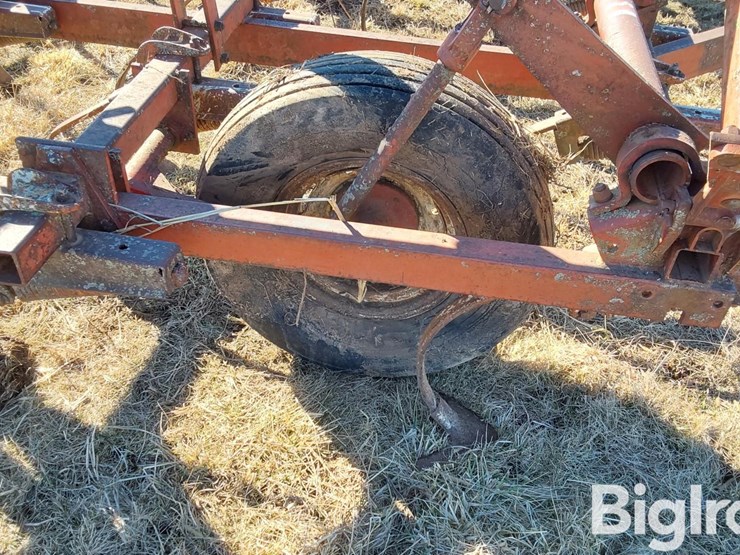 international-45-image-14