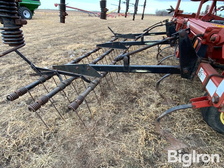 sunflower-5652-image-13