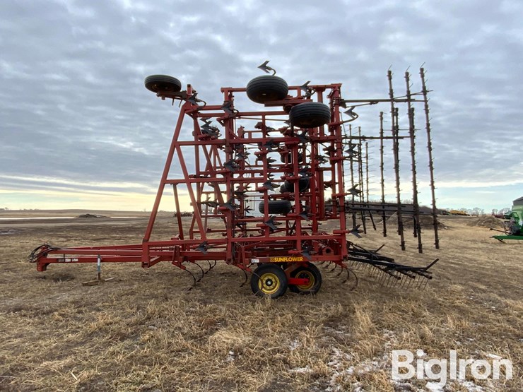 sunflower-5652-image-8