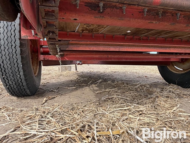 international-540-image-15