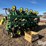 john-deere-885-image-3