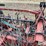 shop-built/case-12r30-strip-till-bar-image-12