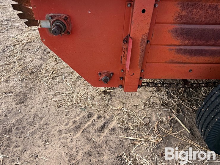 international-540-image-18