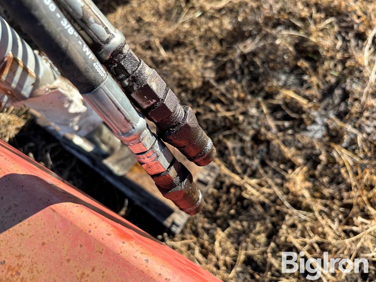 wil-rich-quad-5-image-19