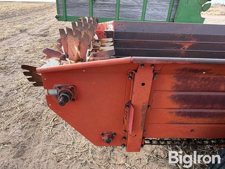 international-540-image-19