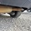 #35101-•-2016-ford-focus-hatch-back-1fadp3k28gl230543-inv#-35101-image-12