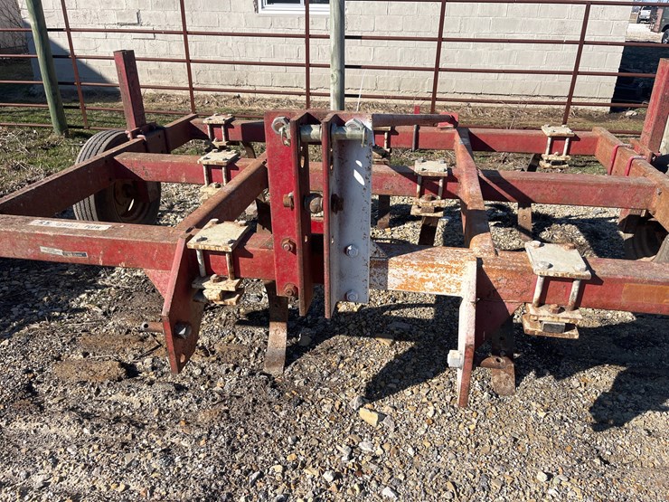 international-55-image-3