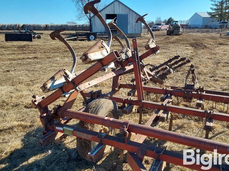 international-45-image-13